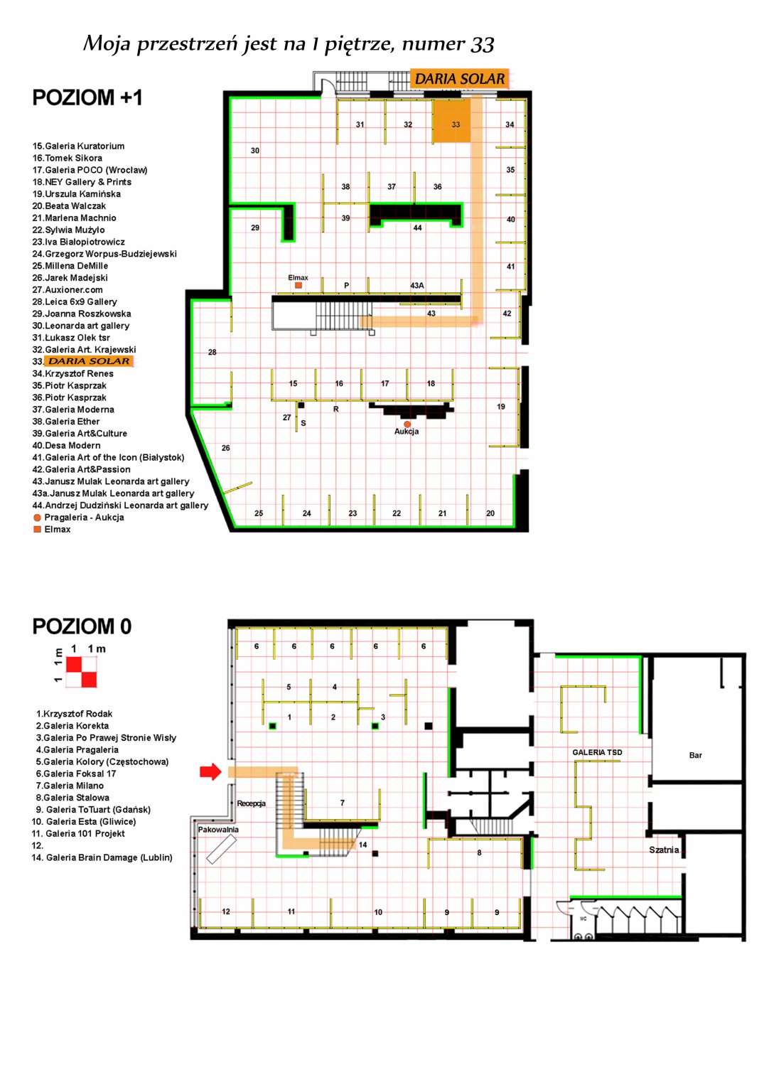 Daria Solar na targach Sztuki Dostępnej